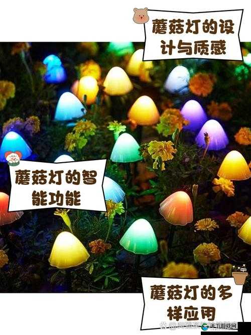 手把手教你制作蘑菇灯！饥荒必备的救命神器点亮技巧大公开