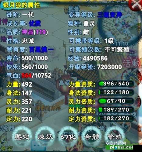 忘仙宠物技能全解析！超实用搭配技巧让你秒变大神