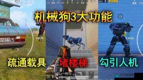 和平精英机械狗作用大揭秘！手残党也能练出神操作