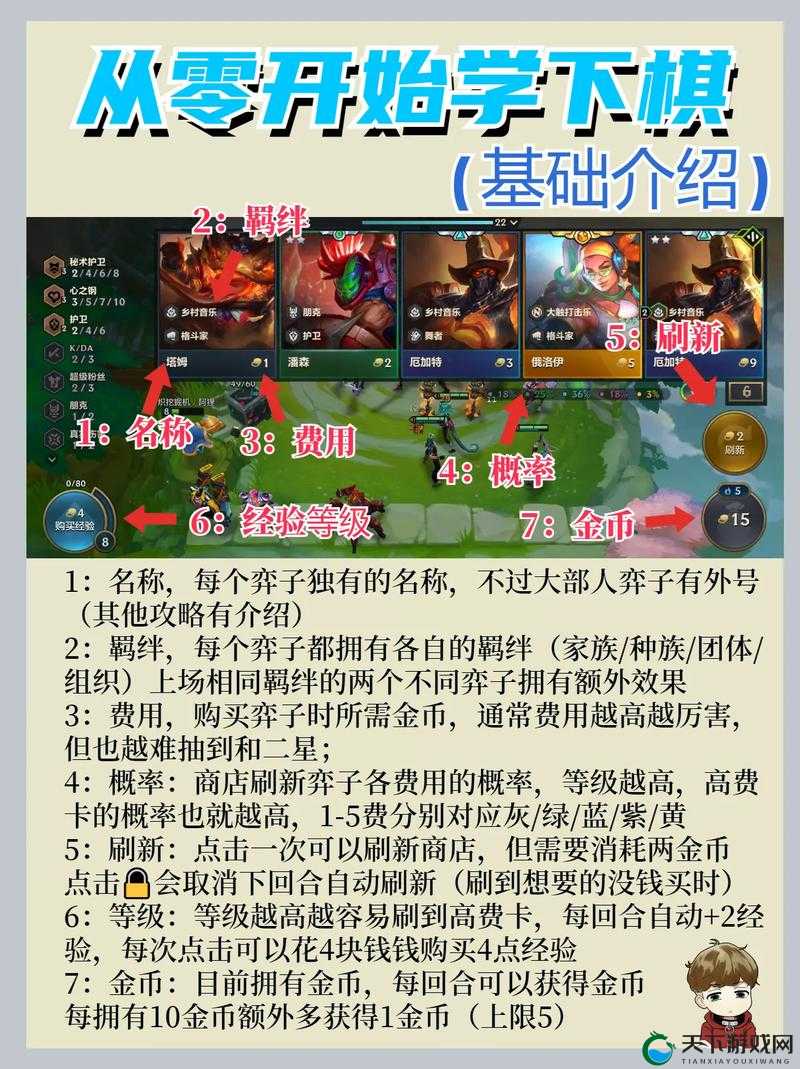 新手必看！金铲铲之战入门攻略+职业特性全解析