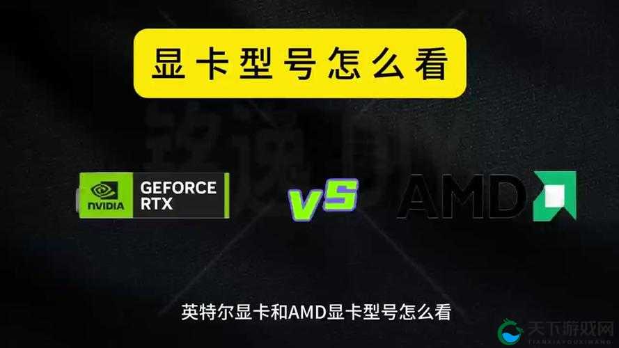 AMD玩家注意！丧尸围城3分辨率卡灰？三步秒解决显卡bug