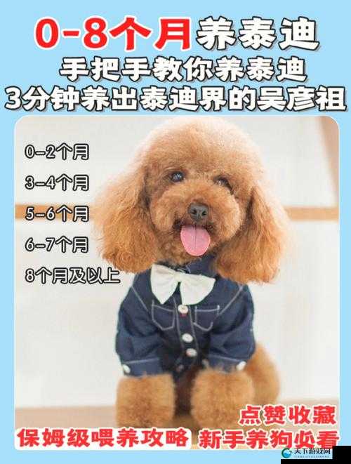 自由之心宠物获取攻略！3分钟教你白嫖神宠_保姆级保姆级保姆级