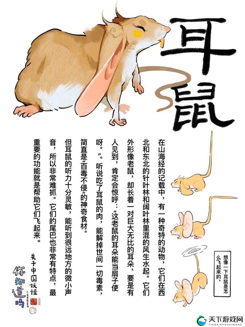 耳鼠进化前必看！手把手教你打造终极伙伴