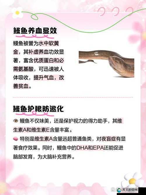 绝了！悠长假期鳗鱼获取攻略+绝美装饰全解析！
