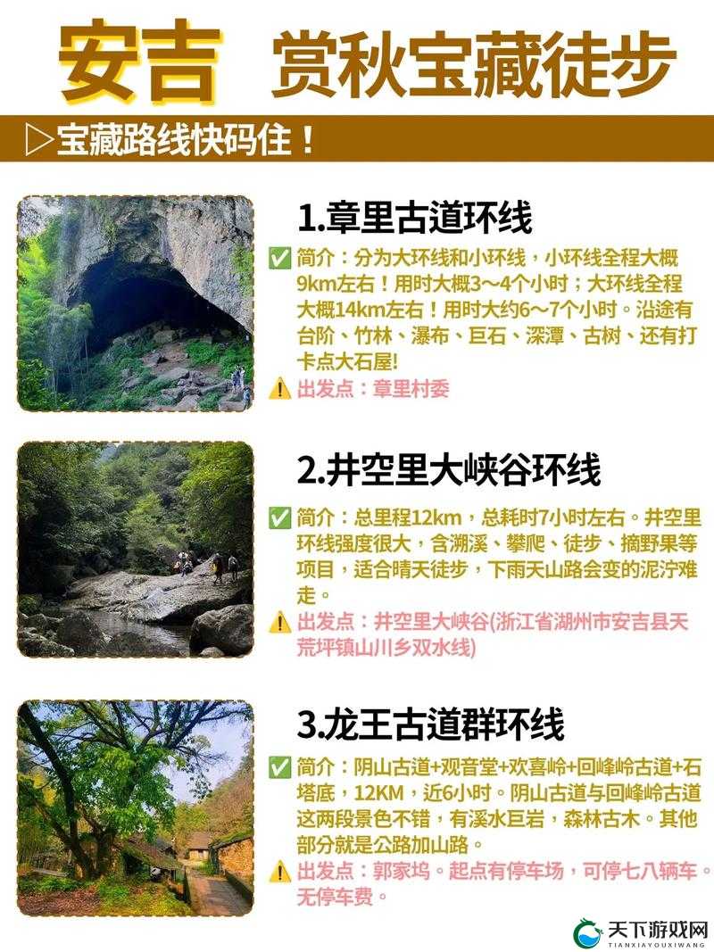 尖叫！爆肝整理最全荷叶采集路线，秒变庄园采药小能手~