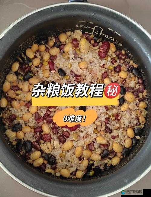 魔法五谷杂粮饭做法公开！零失败懒人必看的杂粮饭秘籍