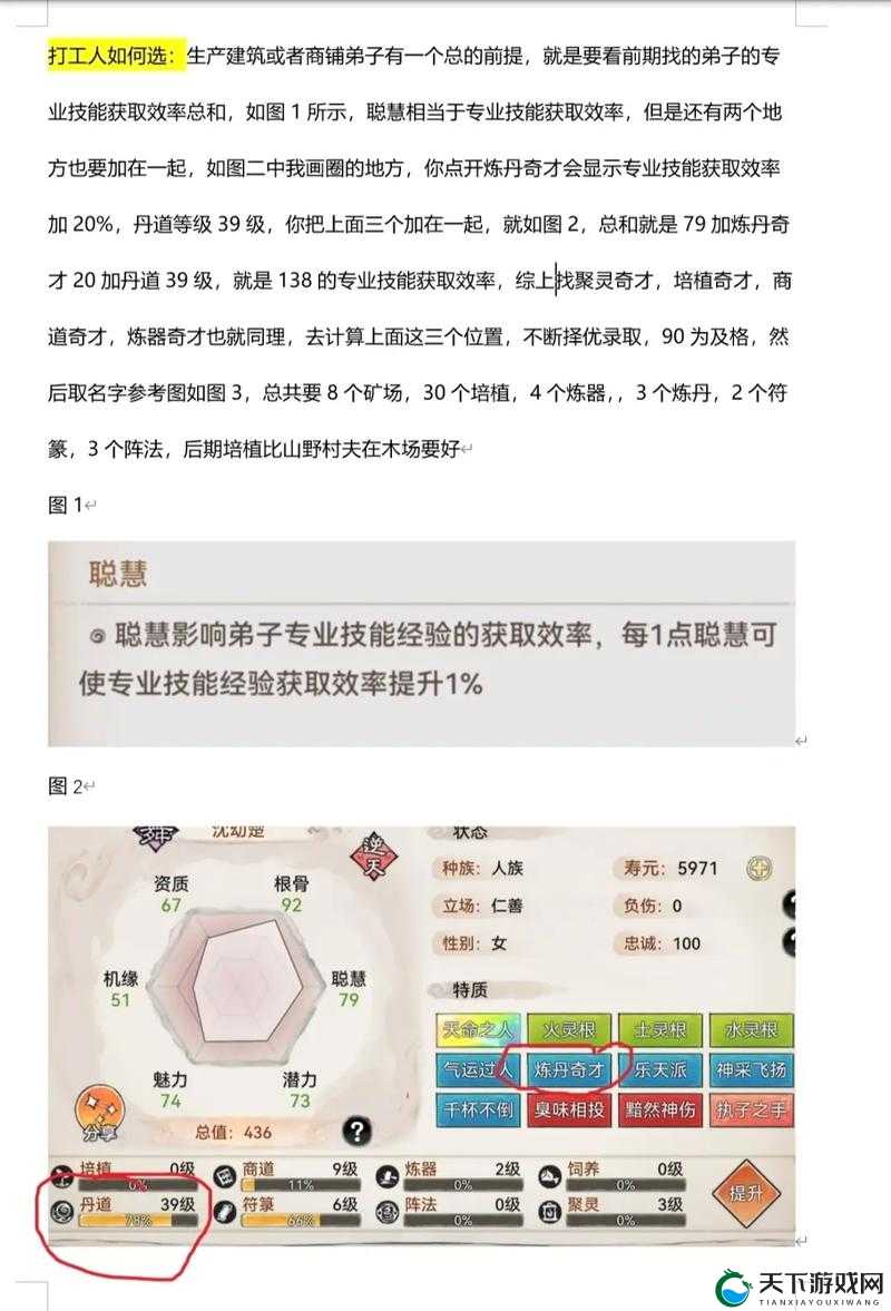 大掌门新手必看！弟子培养零失误攻略，暴击战力天花板！
