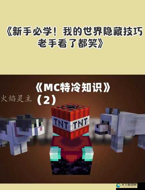 我的世界老手私藏的9个冷门技巧！萌新看到直接跪拜！