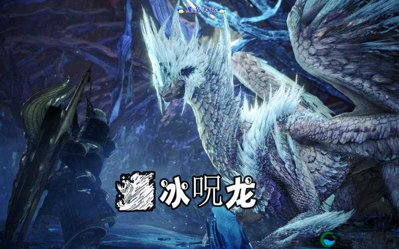 冰原守卫者多余的龙装备别浪费！这5招让你战力翻倍