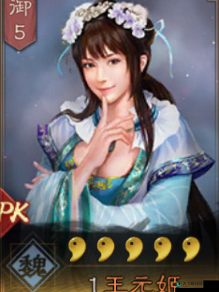 三国志战略版王元姬逆天表现实测！这战神到底强在哪儿？