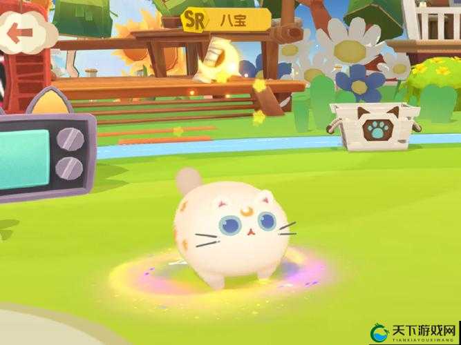 超详细教程！猫咪公寓2生小猫全攻略，亲测有效！