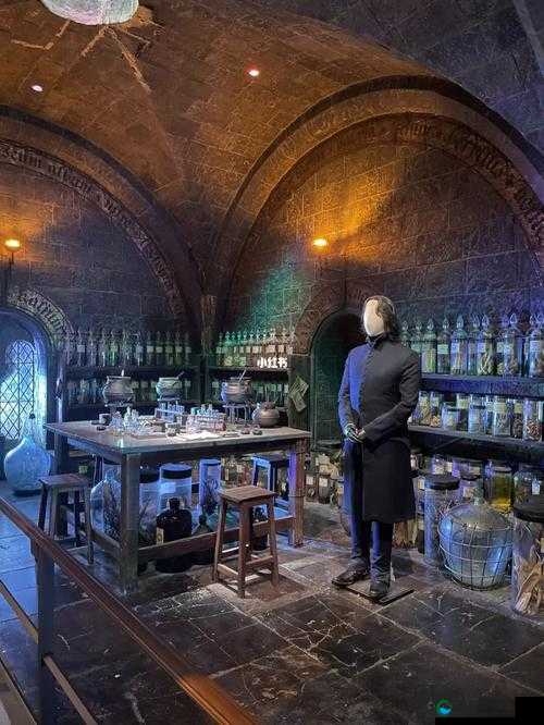 哈利波特魔法觉醒必看！魔药课教室隐藏路线大揭秘，手把手教你找到神秘教室！