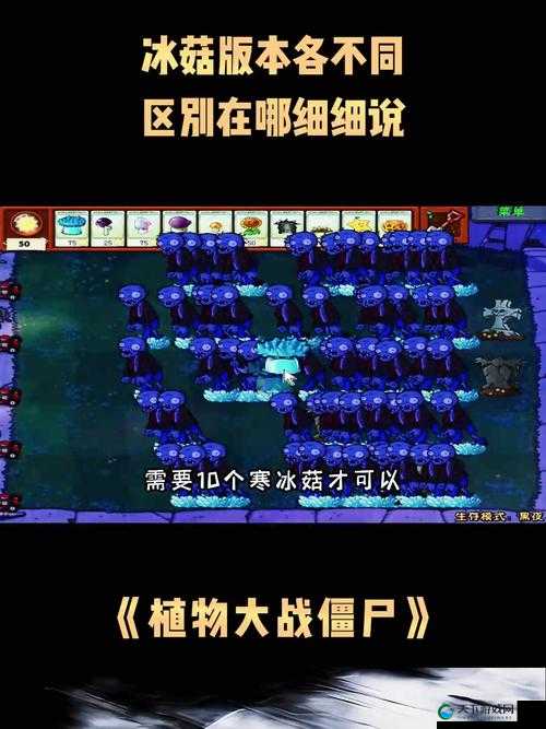 诺弗兰物语冰霜蘑菇配方大公开！手残党秒变大厨的隐藏技巧