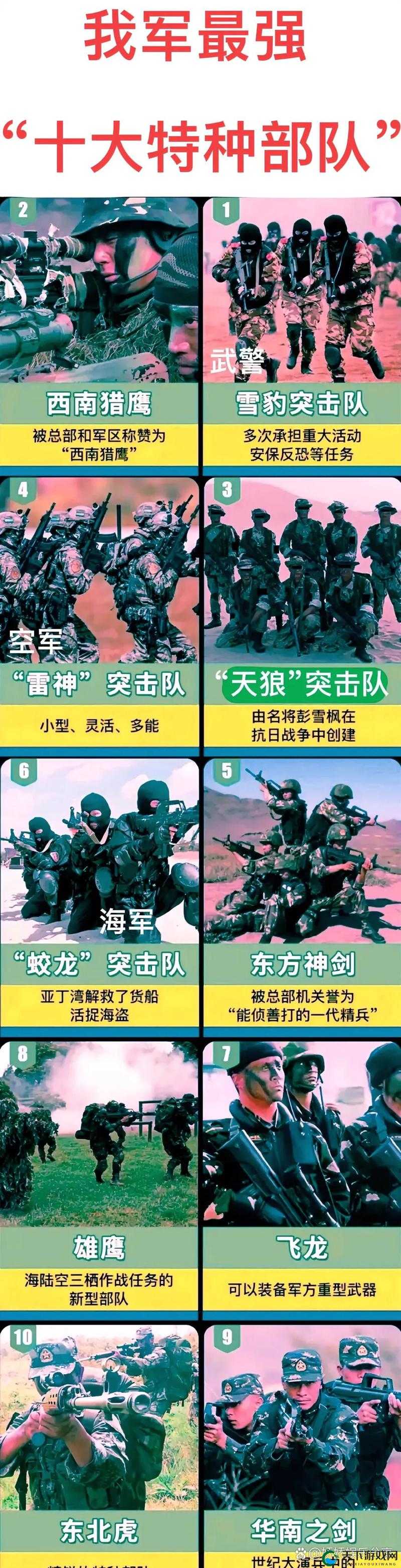 突击队阵容怎么选？5套神级搭配助你轻松碾压战场！