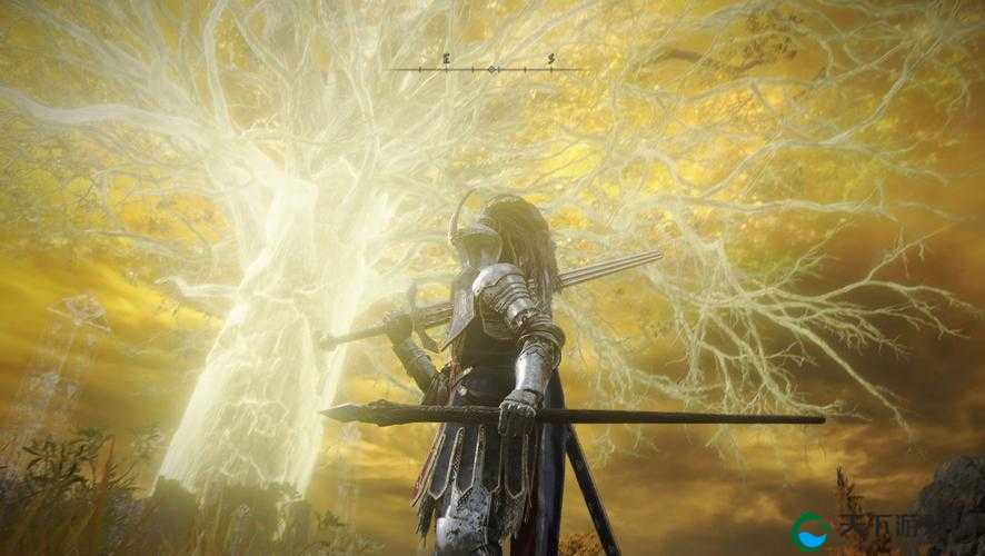 艾尔den法环黄金树之影流纹圆刃刀必看！全网最详细的零遗漏获取攻略