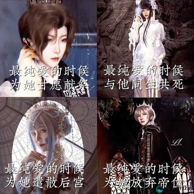 余烬风暴魔法师 VS 神秘使！谁才是你的终极选择？必看深度解析