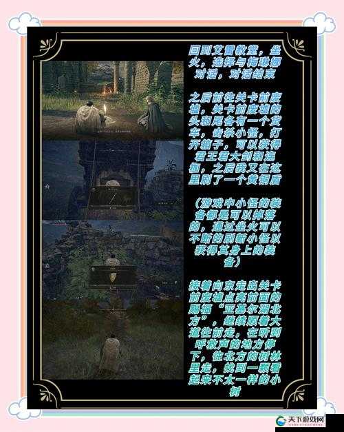 艾尔登法环标准版vs豪华版该选哪个？血赚攻略一次说清！